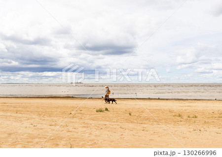 professional dog walker. person walks two pets on beach. dogs on leashes, woman is wearing hat.  130266996