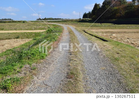 農道と田園風景 山形県庄内 農道と田園風景 山形県庄内 130267511