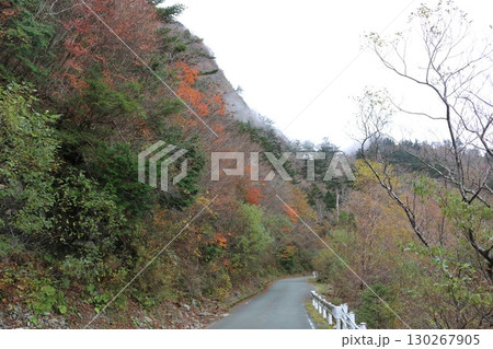 秋の石鎚山系  130267905