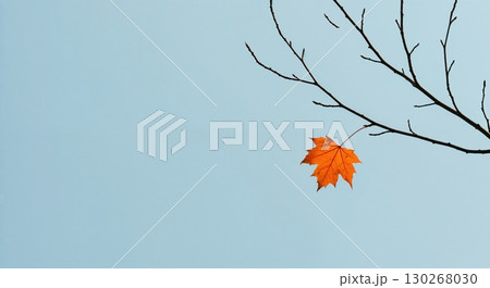 A single vibrant orange maple leaf clings to a sparse, dark tree branch against a clear, pale blue sky, showcasing the beauty of autumn's final moments. 130268030