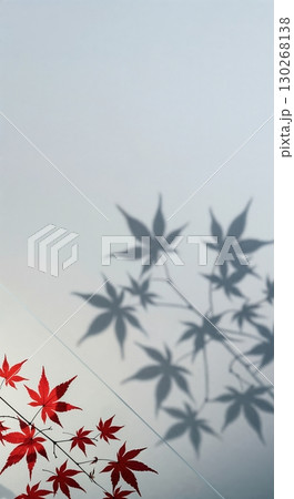 Bright red autumn leaves and their elegant dark shadows are juxtaposed on a clean, light-colored backdrop, highlighting natural patterns and seasonal beauty. 130268138