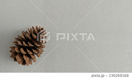 A single brown pine cone with textured scales is positioned on the left side of a subtle light gray background, offering ample copy space. 130268168