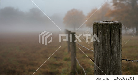 A weathered wooden fence post adorned with a glistening spiderweb stands prominently in a misty, autumnal rural field with distant trees. 130268201