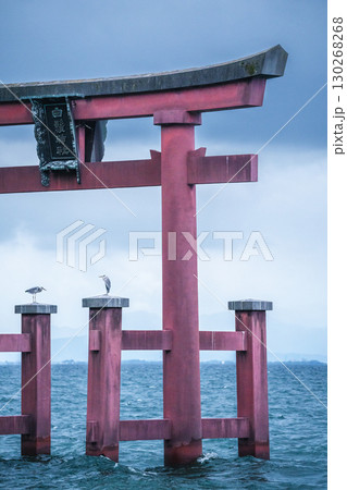 Birds perch on the torii gate of Shirahige Shrine, Japan 130268268