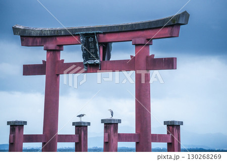 Birds perch on the torii gate of Shirahige Shrine, Japan 130268269