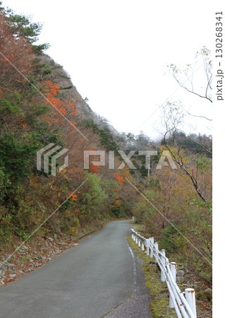 秋の石鎚山系  130268341