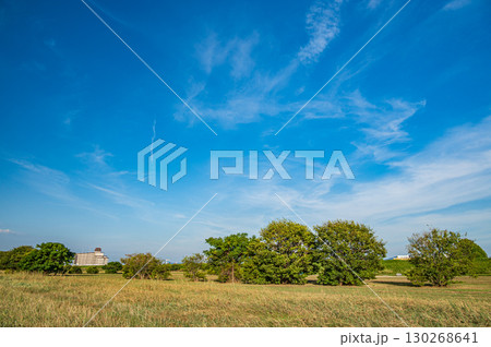 淀川河川公園風景　大阪府守口市 130268641