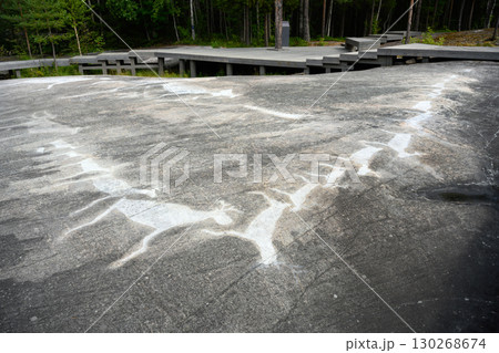 Prehistoric petroglyphs, ancient rock carvings of animals in a forested landscape in Zalavruga, Russia. Concept of archeology and primitive art. Prehistoric petroglyphs, ancient rock carvings of animals in a forested landscape in Zalavruga, Russia. Concept of archeology and primitive art. 130268674