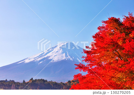 秋の紅葉と富士山 130270205