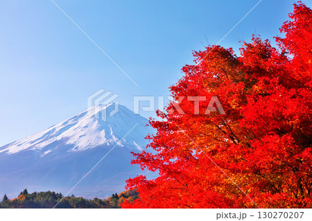 秋の紅葉と富士山 130270207