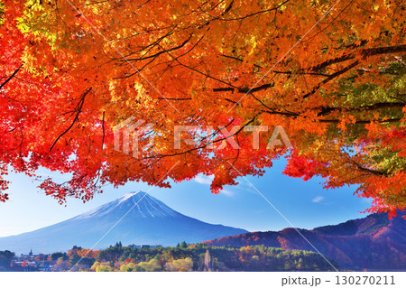 秋の紅葉と富士山 130270211