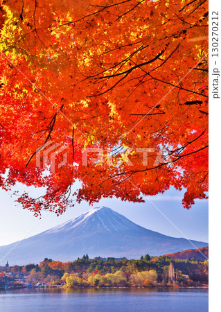 秋の紅葉と富士山 秋の紅葉と富士山 130270212