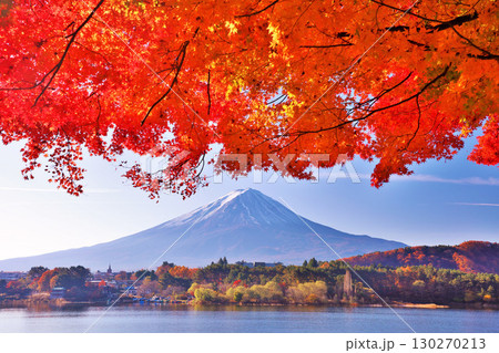 秋の紅葉と富士山 秋の紅葉と富士山 130270213