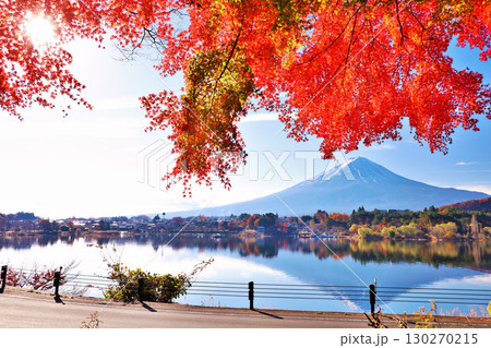 秋の紅葉と富士山 130270215