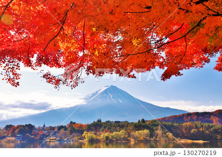 秋の紅葉と富士山 秋の紅葉と富士山 130270219