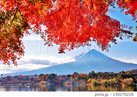 秋の紅葉と富士山 秋の紅葉と富士山 130270220