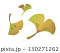 舞い散るイチョウの葉 130271262