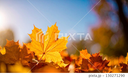 紅葉と青空 130271290