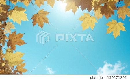 紅葉と青空 紅葉と青空 130271291