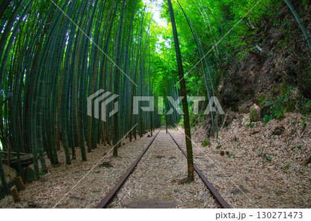 旧国鉄倉吉線廃線跡 130271473