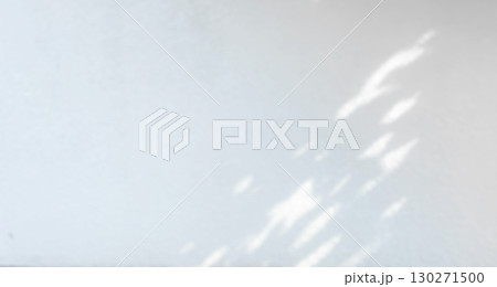 植物 影 光 日差し 植物 影 光 日差し 130271500