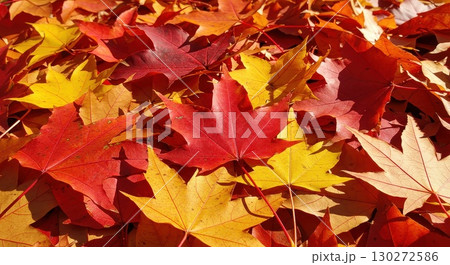 モミジの葉の背景画 モミジの葉の背景画 130272586