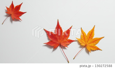 モミジの葉の背景画 モミジの葉の背景画 130272588