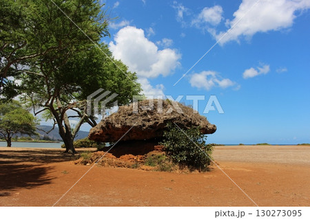 ポハクラナイ　バランスロック 130273095