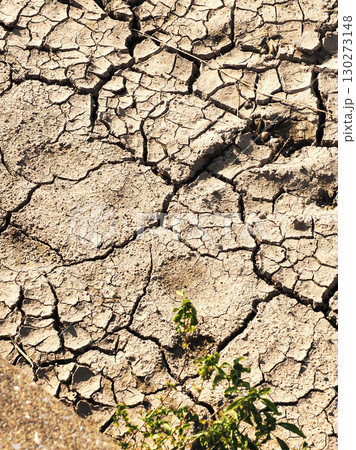 水不足　渇水　干ばつ　water shortage  water deficit 130273148