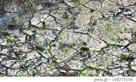 水不足　渇水　干ばつ　water shortage  water deficit 130273158