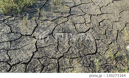 水不足　渇水　干ばつ　water shortage  water deficit 130273164