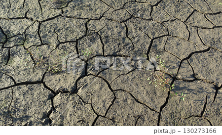 水不足　渇水　干ばつ　water shortage  water deficit 130273166