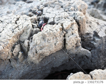 水不足　渇水　干ばつ　water shortage  water deficit 130273176