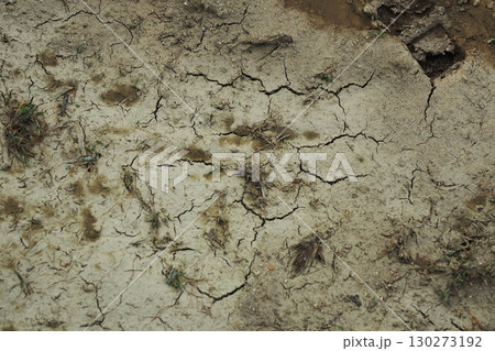 水不足 渇水 干ばつ water shortage water deficit 水不足 渇水 干ばつ water shortage water deficit 130273192