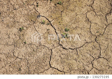 水不足　渇水　干ばつ　water shortage  water deficit 130273195