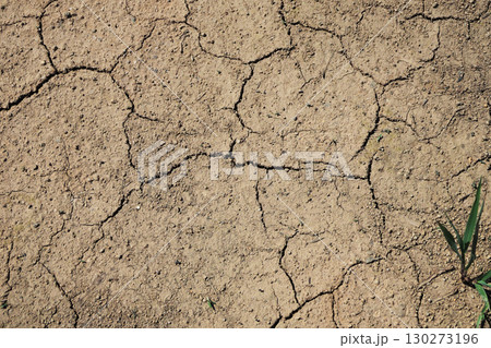 水不足　渇水　干ばつ　water shortage  water deficit 130273196