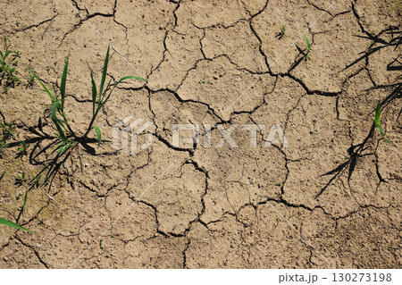 水不足 渇水 干ばつ water shortage water deficit 水不足 渇水 干ばつ water shortage water deficit 130273198