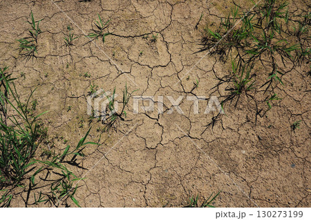 水不足 渇水 干ばつ water shortage water deficit 水不足 渇水 干ばつ water shortage water deficit 130273199
