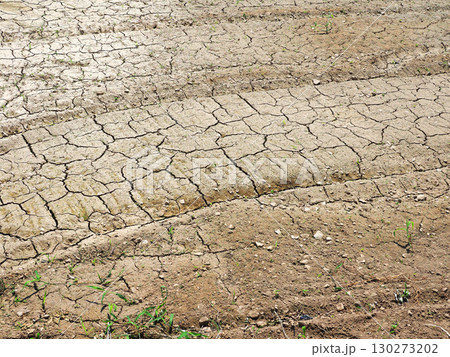 水不足 渇水 干ばつ water shortage water deficit 水不足 渇水 干ばつ water shortage water deficit 130273202