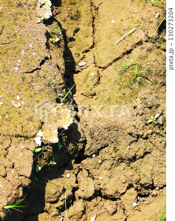 水不足 渇水 干ばつ water shortage water deficit 水不足 渇水 干ばつ water shortage water deficit 130273204