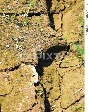 水不足 渇水 干ばつ water shortage water deficit 水不足 渇水 干ばつ water shortage water deficit 130273205