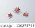 紅葉したモミジの葉 130273753