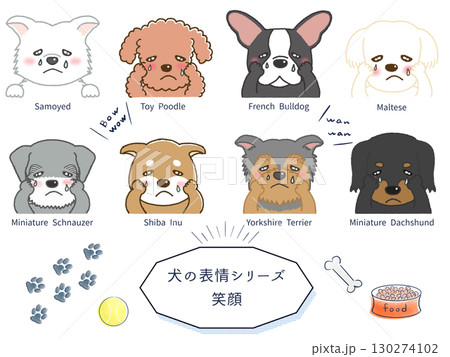 犬種別表情シリーズ　悲しんでいる犬 130274102