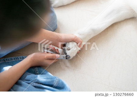 ゴールデンレトリーバーの爪を切る様子(ペットケア) ゴールデンレトリーバーの爪を切る様子(ペットケア) 130276660