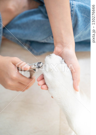 ゴールデンレトリーバーの爪を切る様子（ペットケア） 130276666