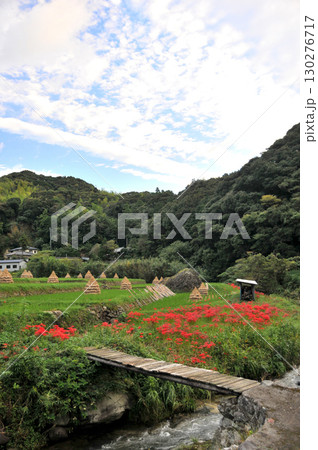 赤い彼岸花咲く里山風景 赤い彼岸花咲く里山風景 130276717