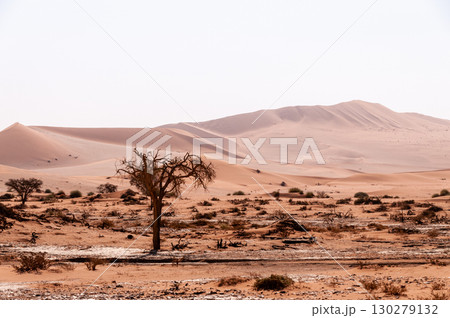 Desert landscape near Sossusvlei Desert landscape near Sossusvlei 130279132