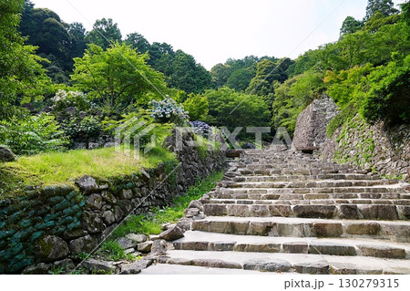 滋賀　近江八幡　安土城　大手道の石段（伝前田邸跡付近）（夏） 130279315