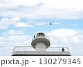 和歌山市　雑賀崎灯台と鷹（東方向から、初夏） 130279345