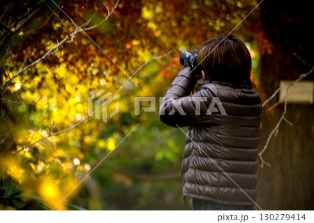 <素材>秋の紅葉の並木道で写真を撮る女性 <素材>秋の紅葉の並木道で写真を撮る女性 130279414